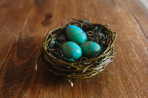 Make your own bird nest, the perfect spring activity!