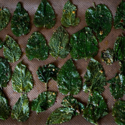 First Nettle Crisps Of The Year