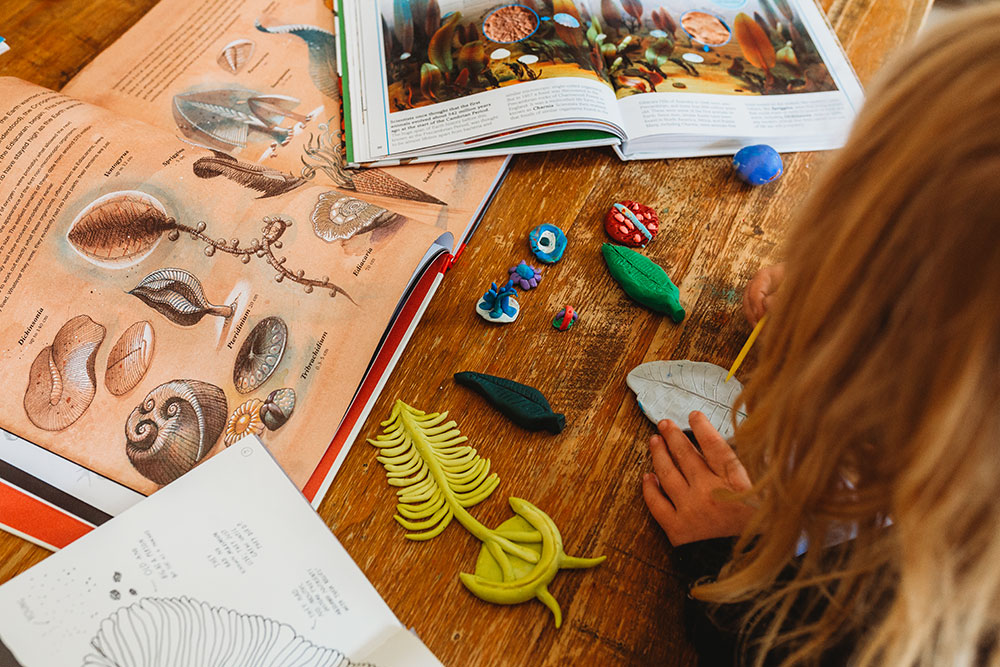 Our Timeline of Life on Earth