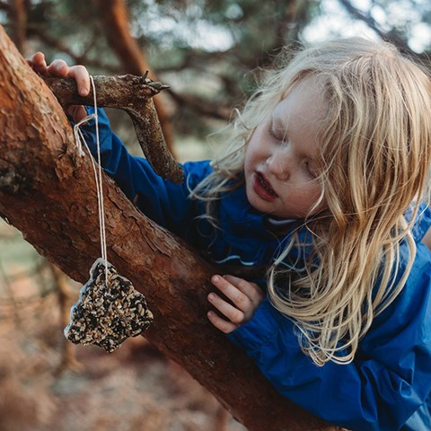 Super Simple DIY Birdfeeder
