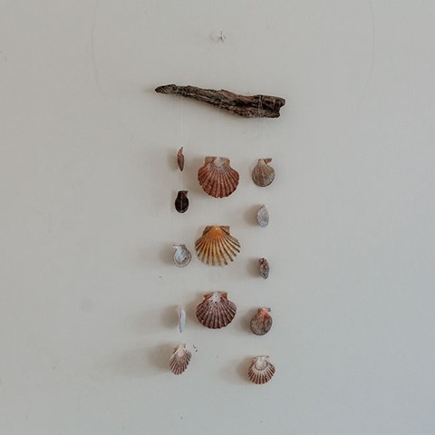 Seashell Wall Hanging
