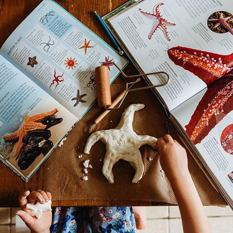 Salt dough Starfish
