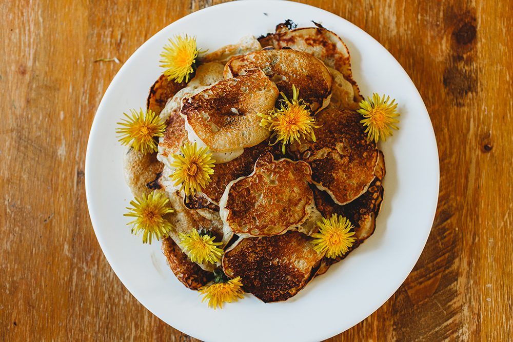 Dandelion Pancakes & Dandelion Fritters