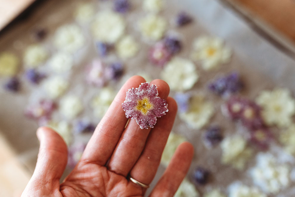 Crystallized Edible Spring Flowers & Vegan Cookies foragecreatelove