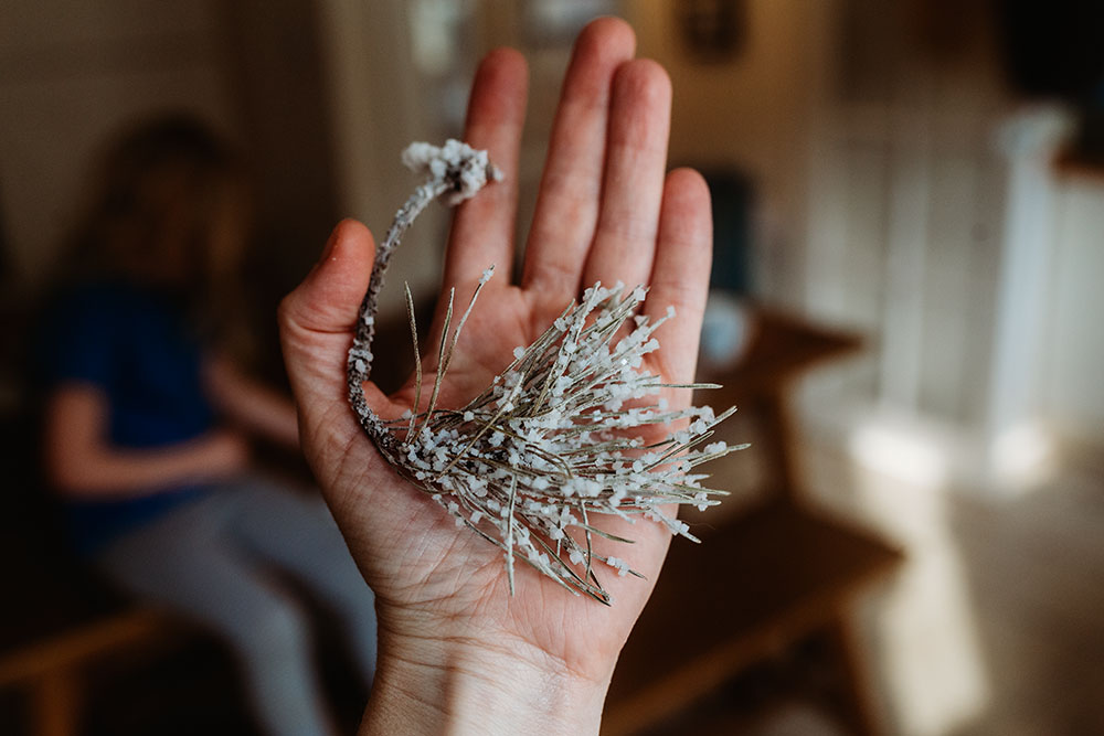 Super Easy Salt Crystal experiment using Feathers or Pine Needles