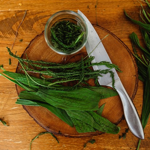 DIY Healing Salve~ Yarrow & Plantain