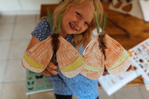 Make Your Own Little Nature Moths