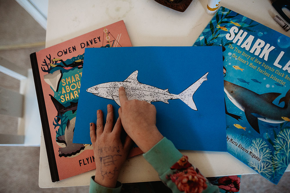 Learning A Bout Sharks: Jaw Pinch Bowl & Skin Experiment -  forage, create