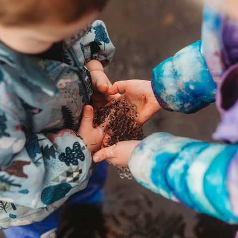 Raising Tadpoles